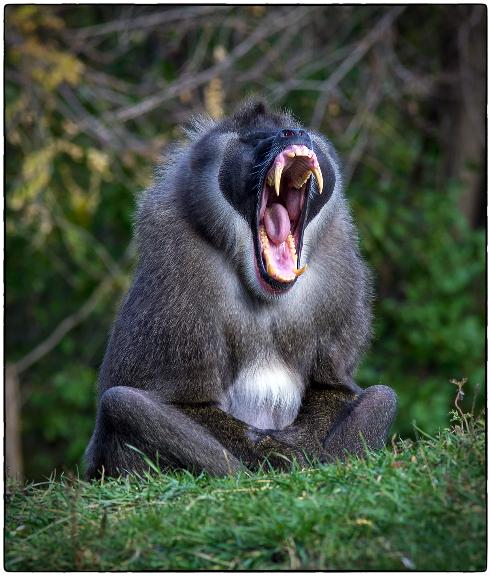 Meeting Photo Slide Show